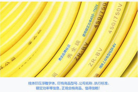 广州市秀全电线电缆有限责任公司